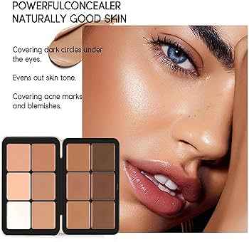 Carla Secret Concealer & contour Palette 12 cream shades